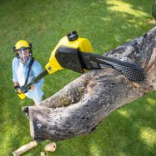 Best Commercial Tree Services  in Mound Bayou, MS